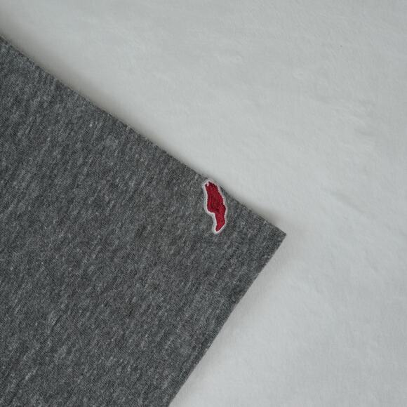 Princeton University T-Shirt Adult Large Gray Spellout League Classic Fit Tee - Picture 5 of 9